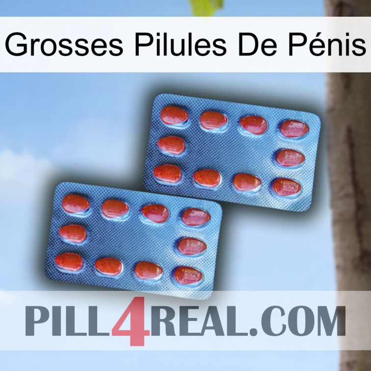 Grosses Pilules De Pénis 05